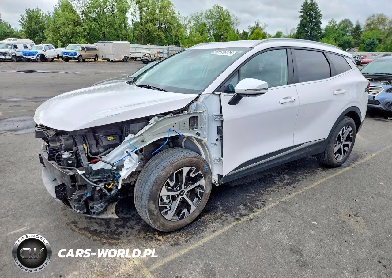 2024 Kia Sportage Ex VIN:5XYK3CDF8RG184191 - 1
