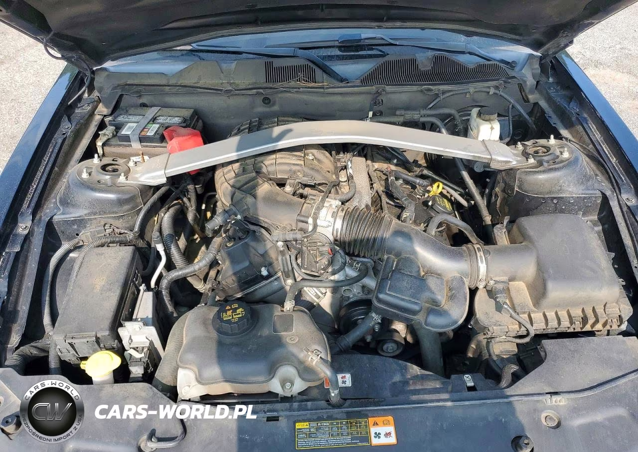 2011 Ford Mustang VIN:1ZVBP8EM9B5123930 - 11