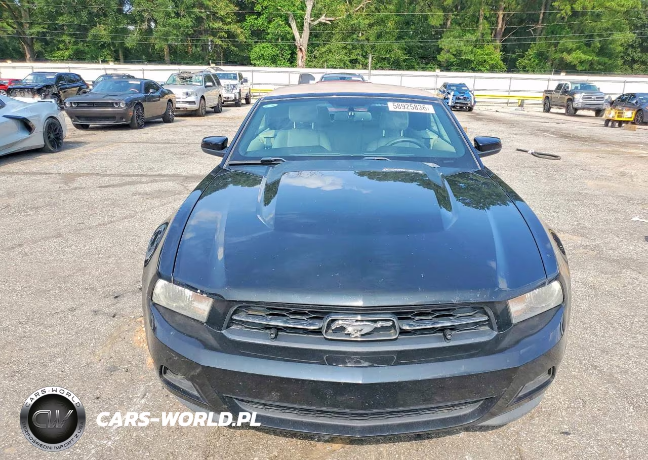 2011 Ford Mustang VIN:1ZVBP8EM9B5123930 - 5
