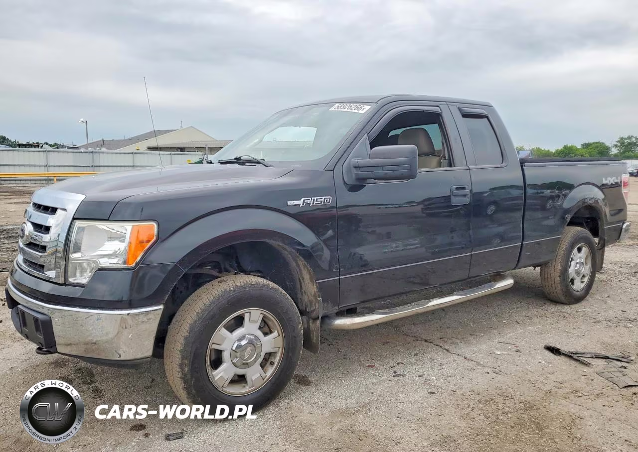 2010 Ford F-150