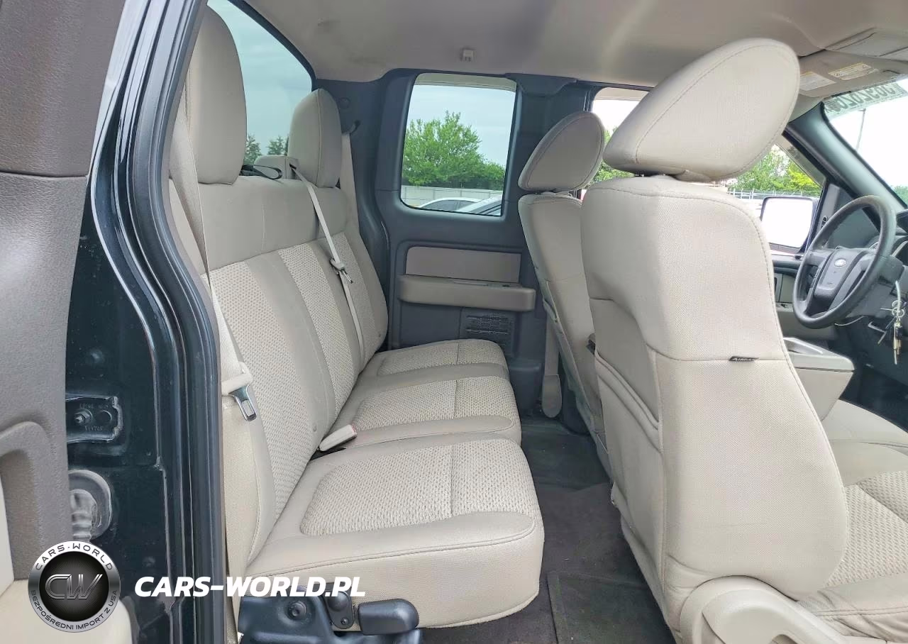2010 Ford F-150 VIN:1FTEX1E80AFB20403 - 10