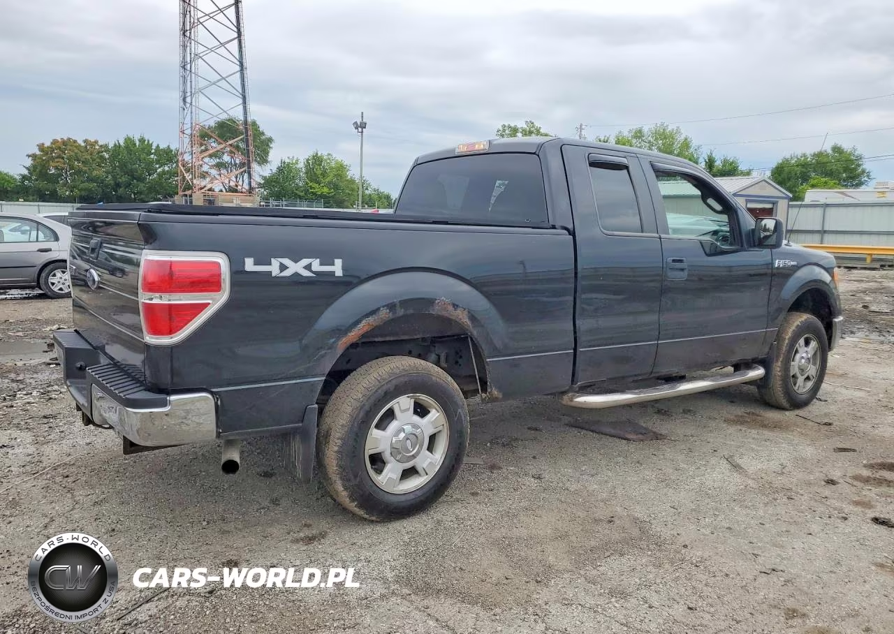 2010 Ford F-150 VIN:1FTEX1E80AFB20403 - 3