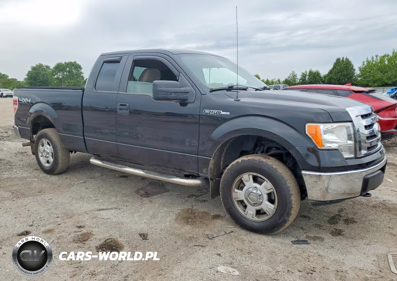 2010 Ford F-150 VIN:1FTEX1E80AFB20403 - 4