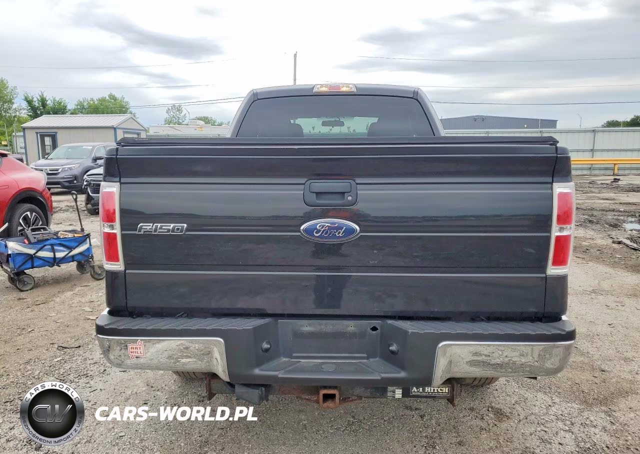 2010 Ford F-150 VIN:1FTEX1E80AFB20403 - 6