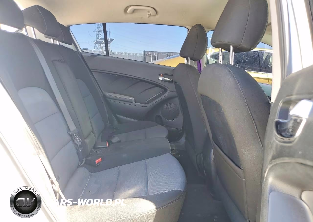 2016 Kia Forte Lx VIN:KNAFK5A83G5631227 - 10
