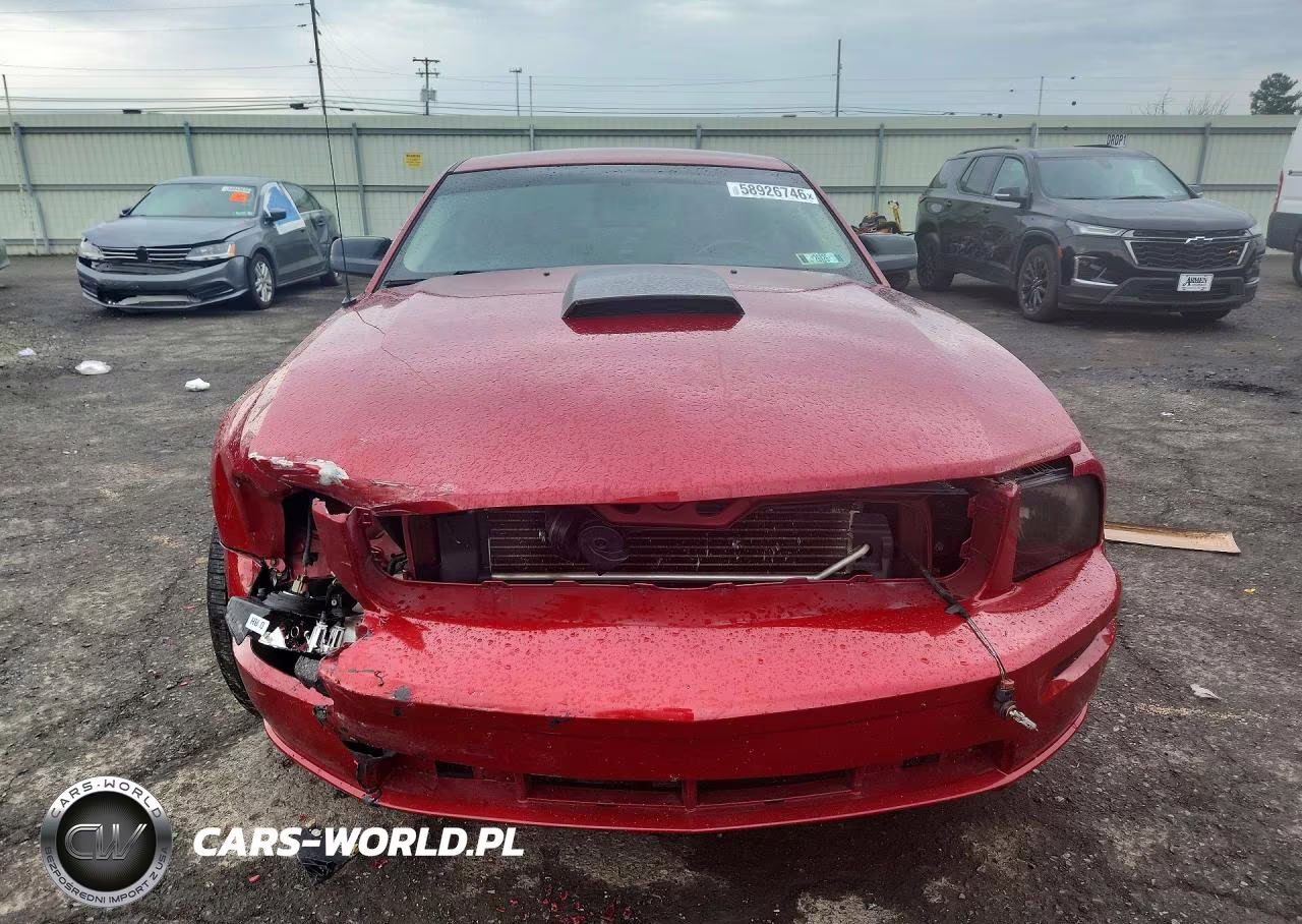 2008 Ford Mustang Gt VIN:1ZVHT82H585148104 - 5