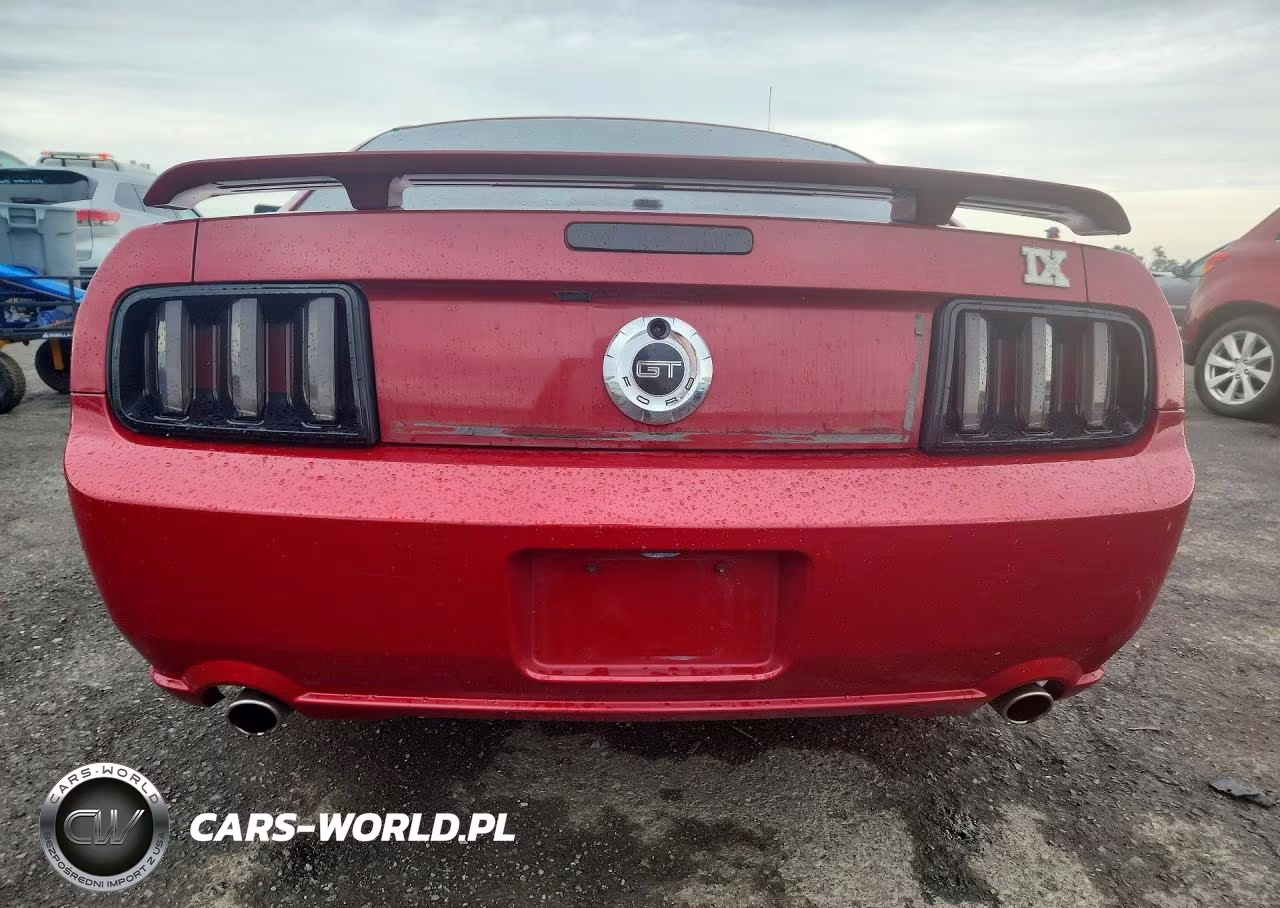 2008 Ford Mustang Gt VIN:1ZVHT82H585148104 - 6