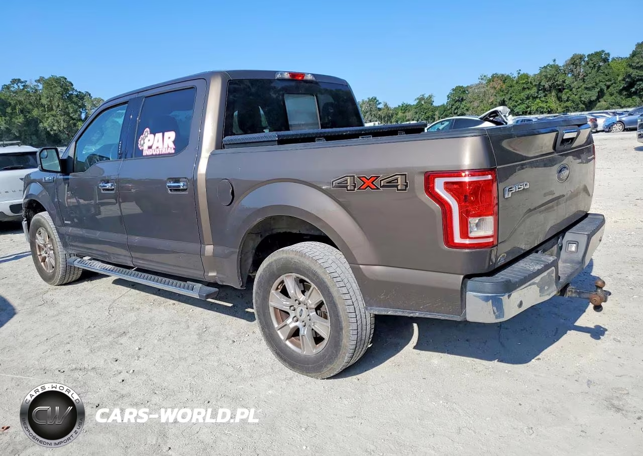 2016 Ford F150 Supercrew VIN:1FTEW1EPXGFB89859 - 2