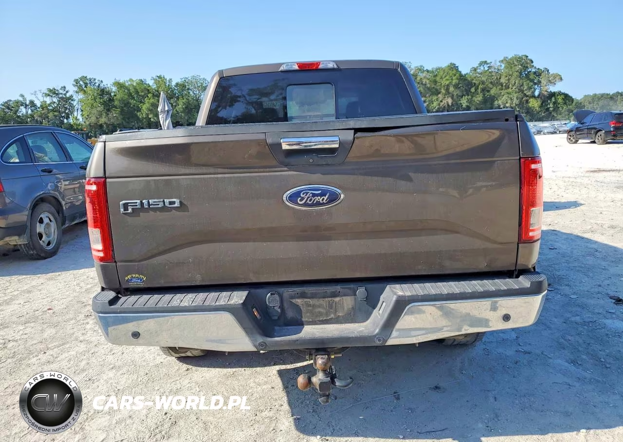 2016 Ford F150 Supercrew VIN:1FTEW1EPXGFB89859 - 6