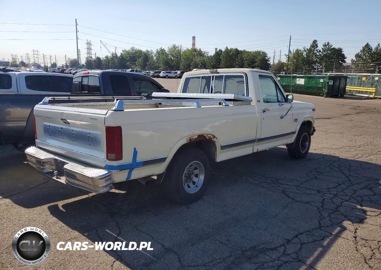 1986 Ford F150 VIN:1FTDF15NXGPB15359 - 3