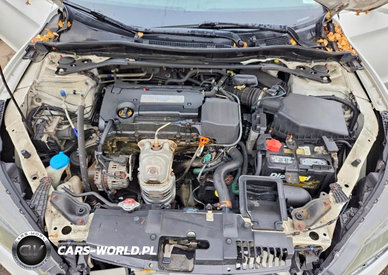 2014 Honda Accord Exl VIN:1HGCR2F84EA060040 - 11