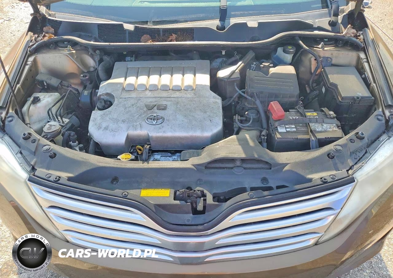 2009 Toyota Venza Awd V6 VIN:4T3BK11A69U023002 - 12