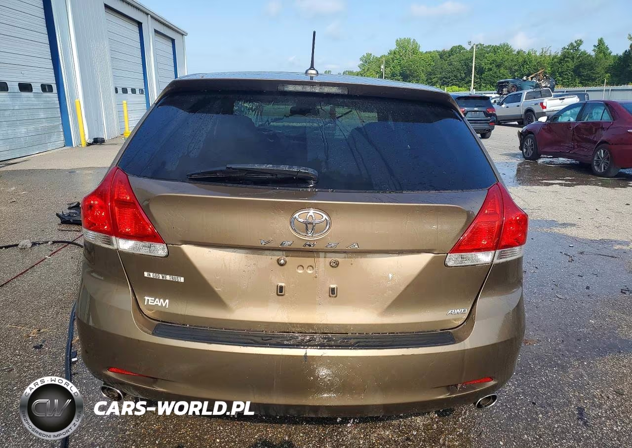 2009 Toyota Venza Awd V6 VIN:4T3BK11A69U023002 - 6
