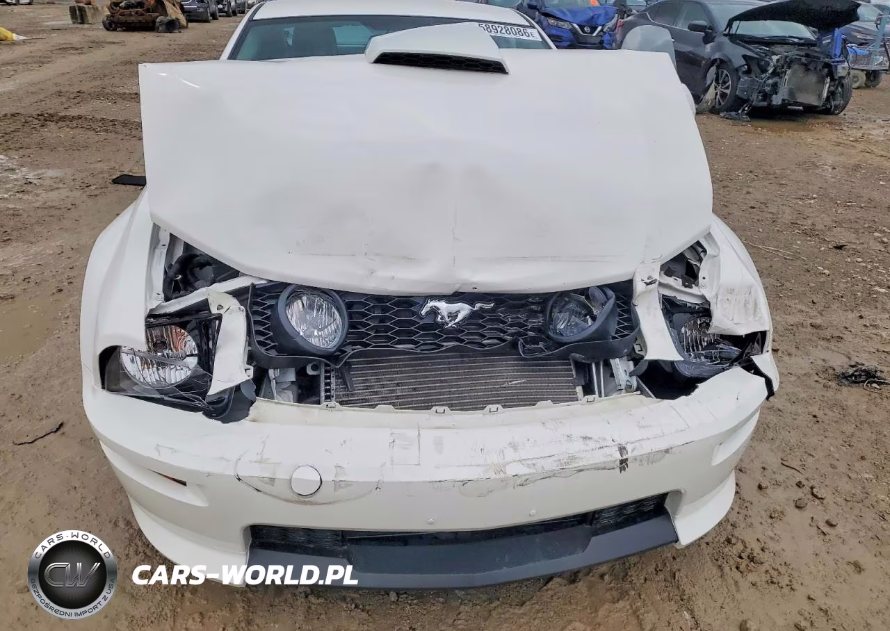 2009 Ford Mustang Gt VIN:1ZVHT82H295128815 - 11