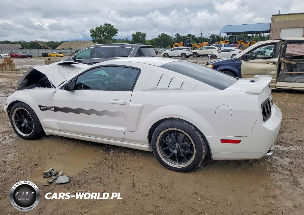 2009 Ford Mustang Gt VIN:1ZVHT82H295128815 - 2