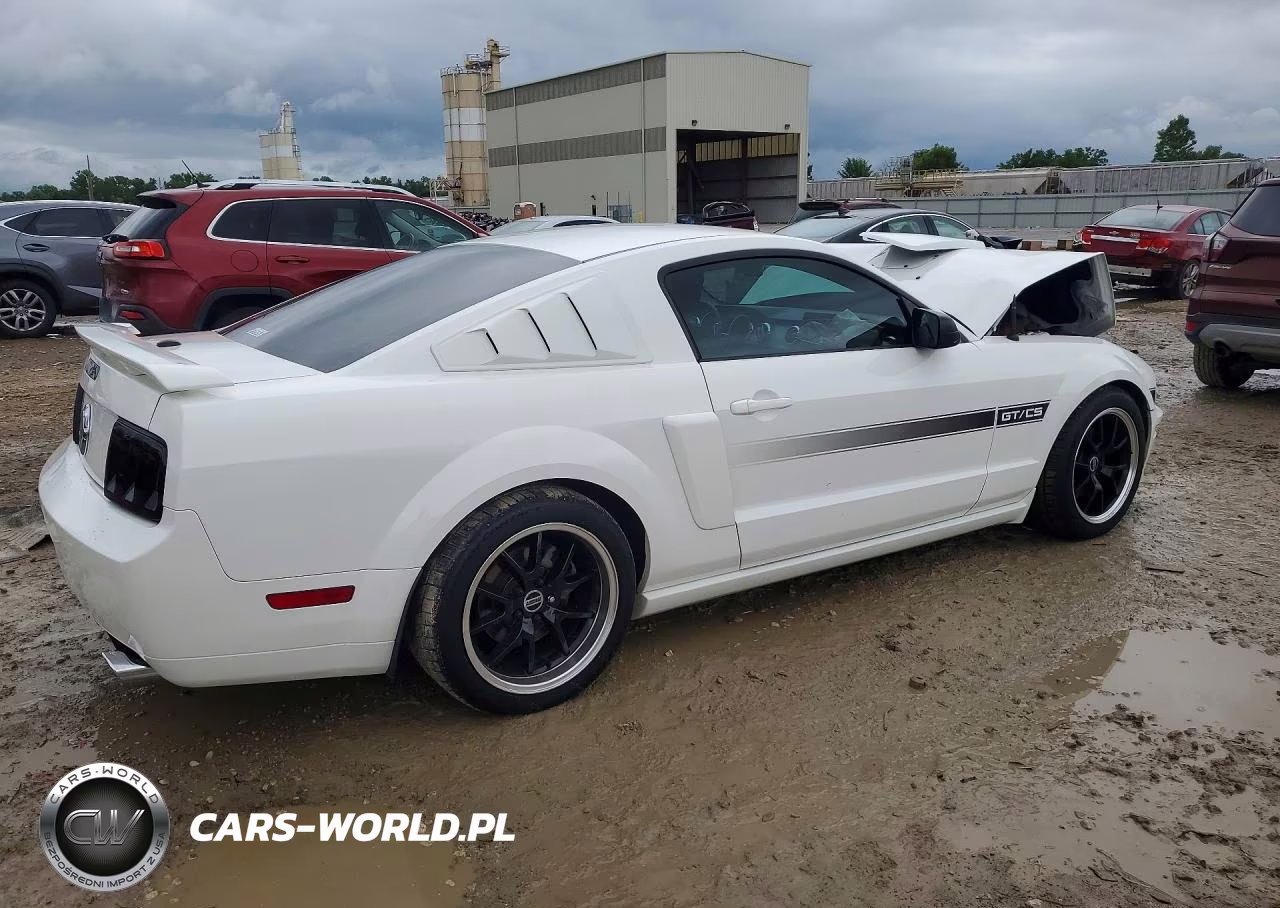 2009 Ford Mustang Gt VIN:1ZVHT82H295128815 - 3