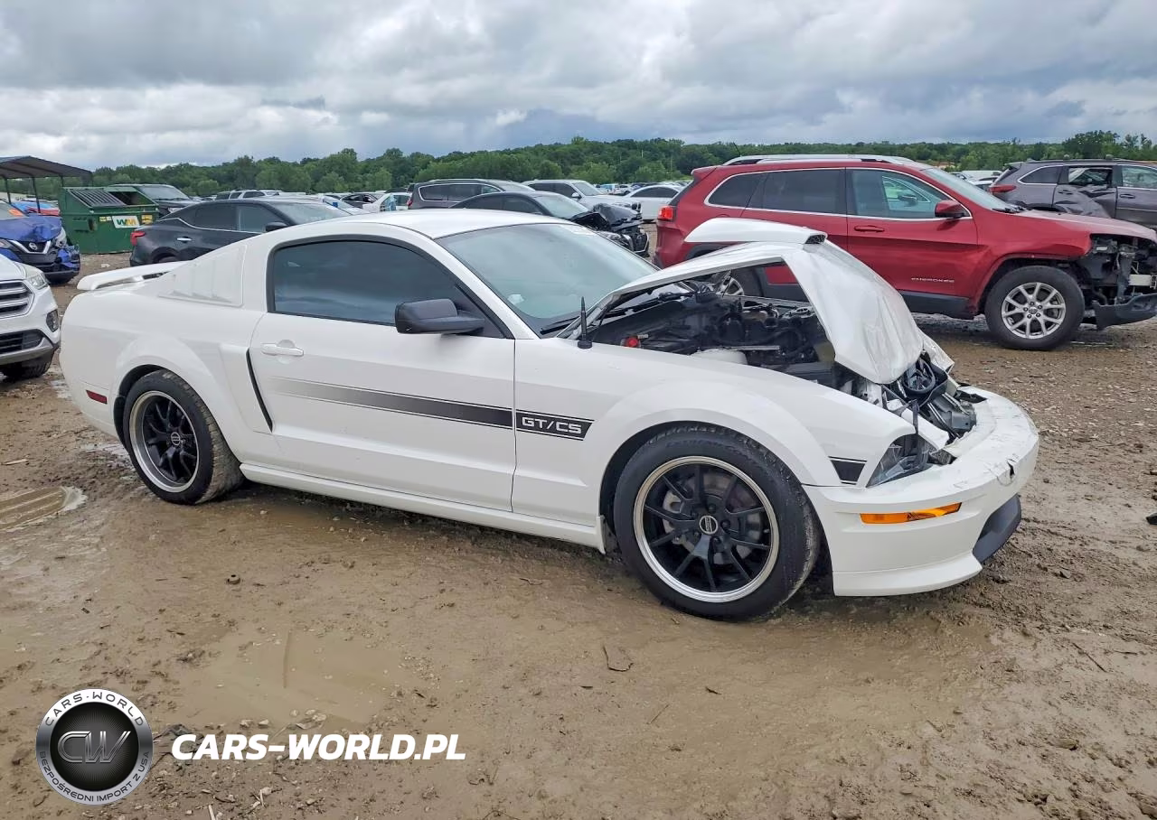 2009 Ford Mustang Gt VIN:1ZVHT82H295128815 - 4