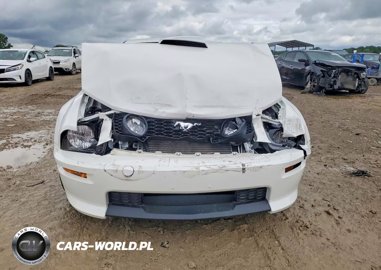 2009 Ford Mustang Gt VIN:1ZVHT82H295128815 - 5