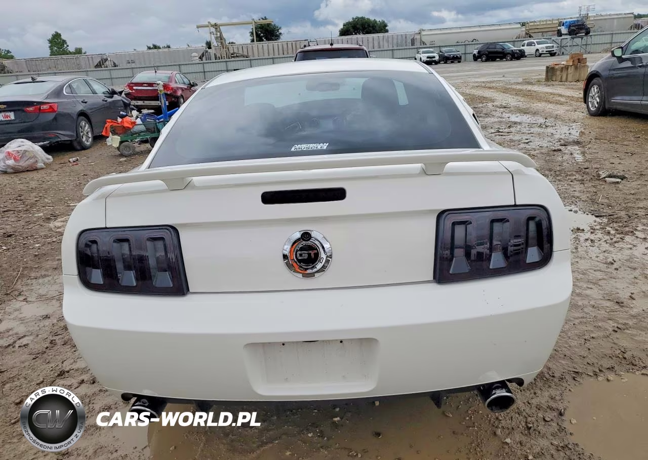2009 Ford Mustang Gt VIN:1ZVHT82H295128815 - 6