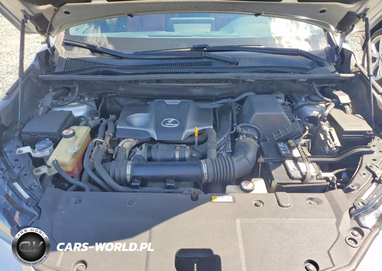 2019 Lexus Nx 300 F Sport VIN:JTJBARBZ7K2189711 - 12