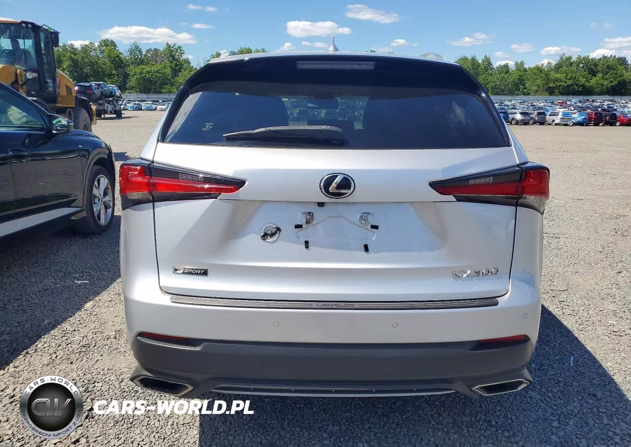 2019 Lexus Nx 300 F Sport VIN:JTJBARBZ7K2189711 - 6