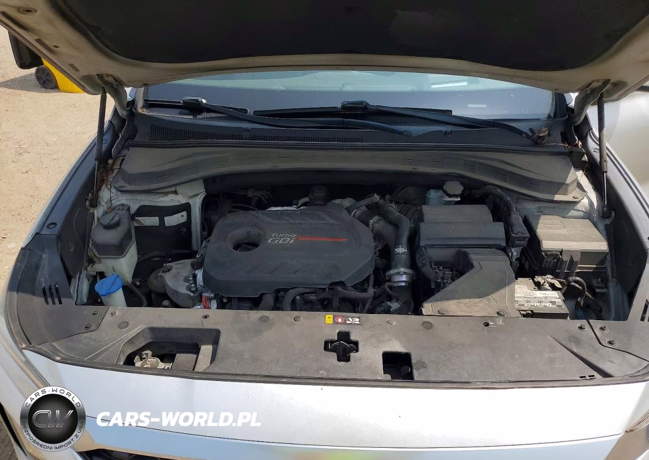 2019 Hyundai Santa Fe Ultimate 2.0T VIN:5NMS53AAXKH021010 - 11