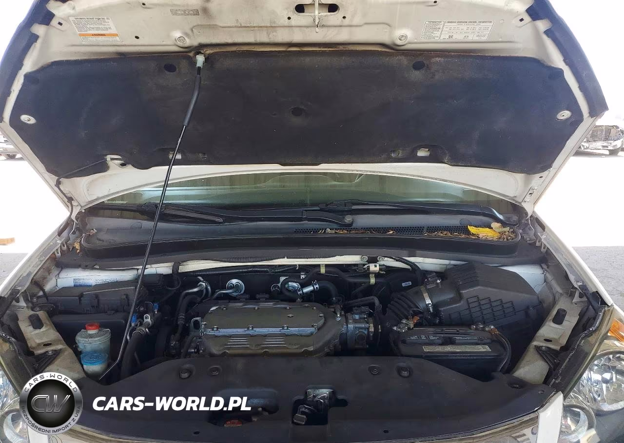 2009 Honda Odyssey Exl VIN:5FNRL38709B000595 - 12