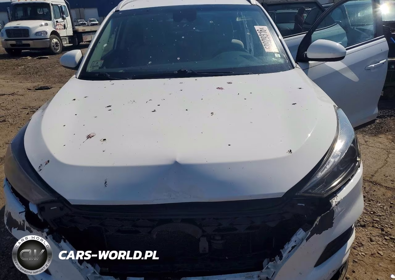 2019 Hyundai Tucson Value VIN:KM8J3CA42KU876476 - 12
