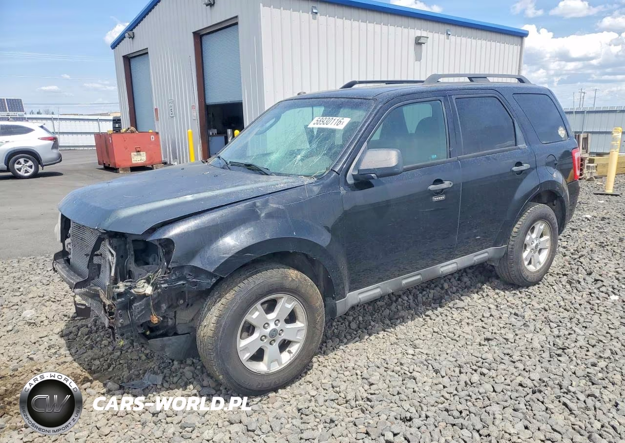 2010 Ford Escape Xlt