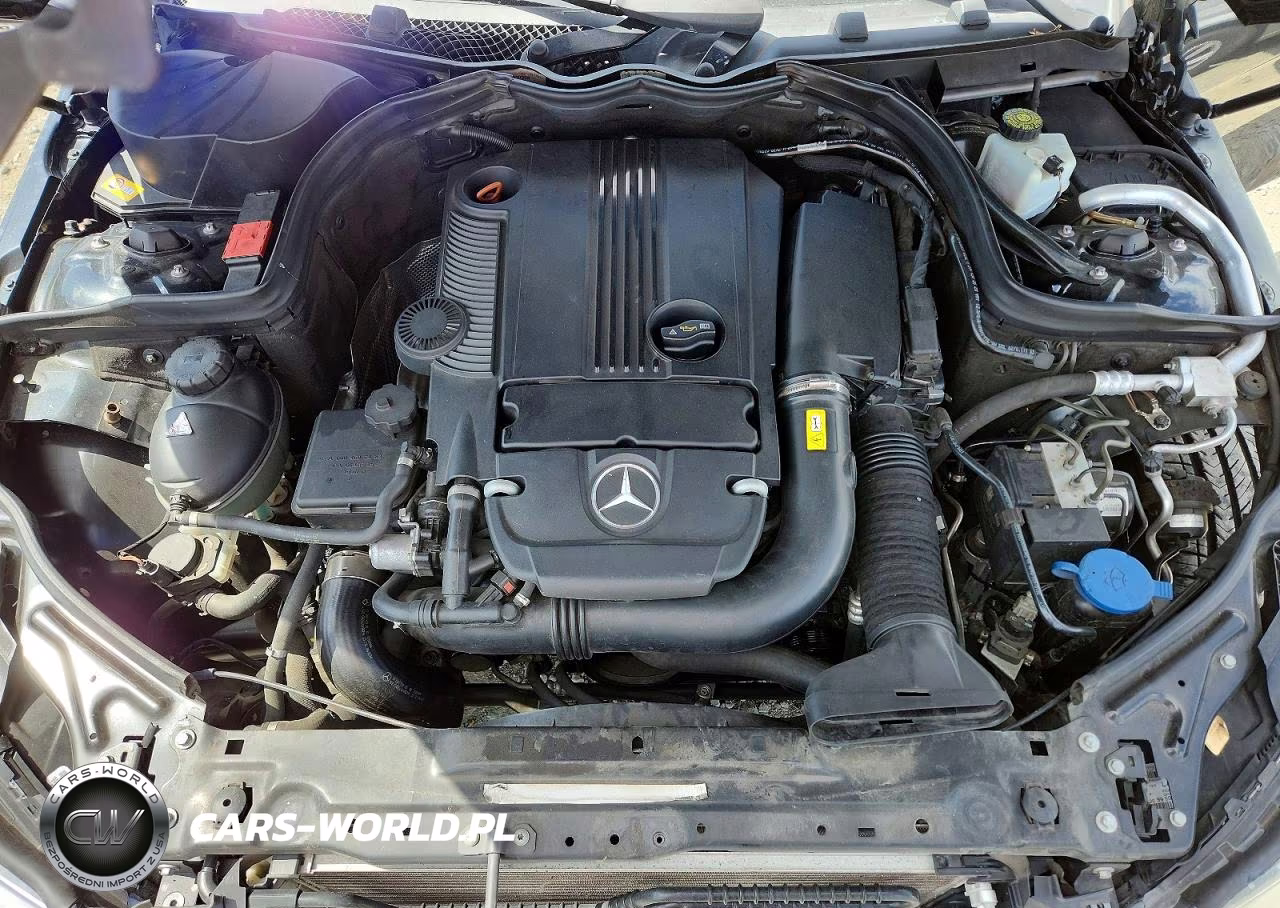 2013 Mercedes-Benz C 250 VIN:WDDGJ4HB9DF980409 - 11