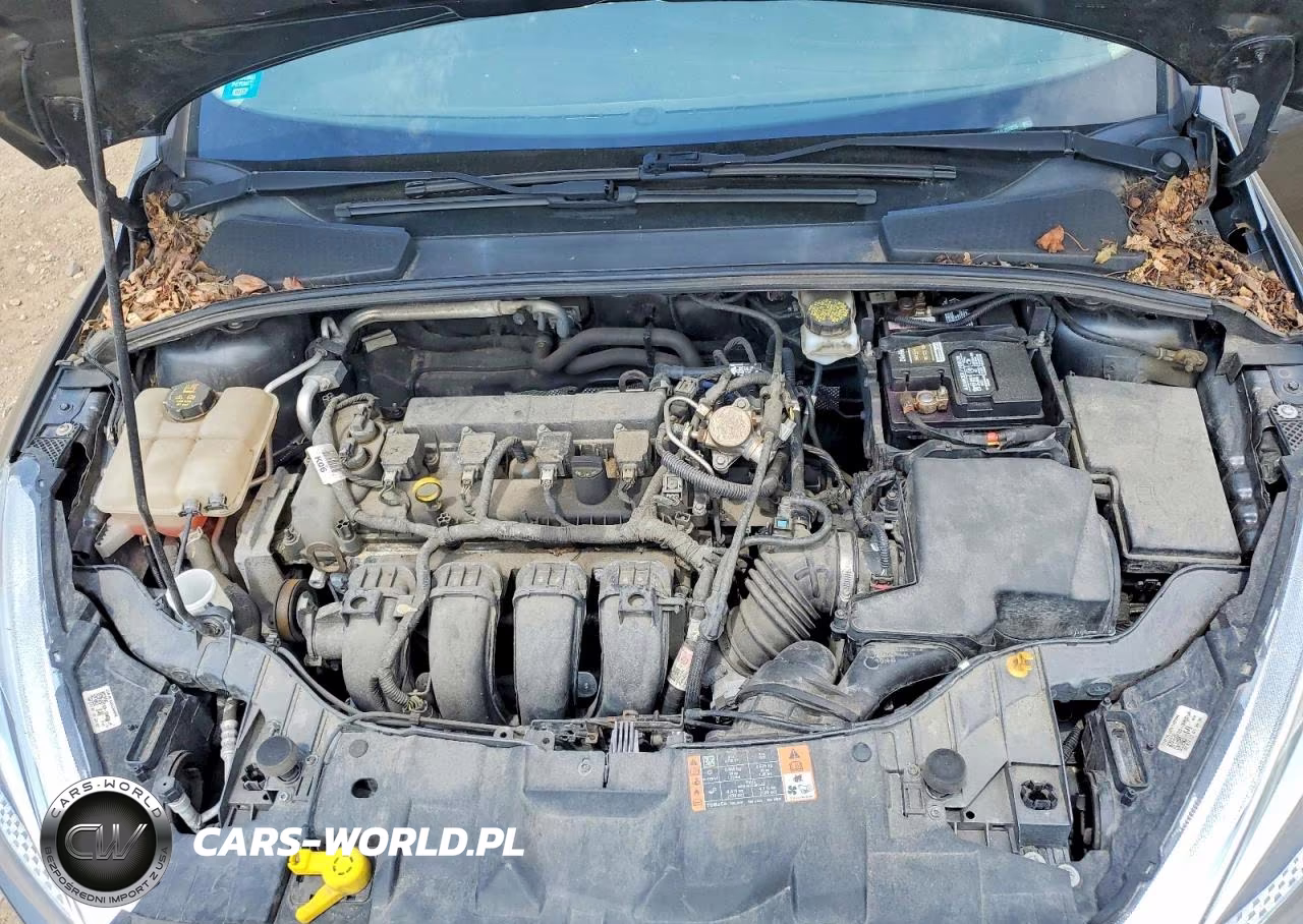 2018 Ford Focus Se VIN:1FADP3K24JL203038 - 11