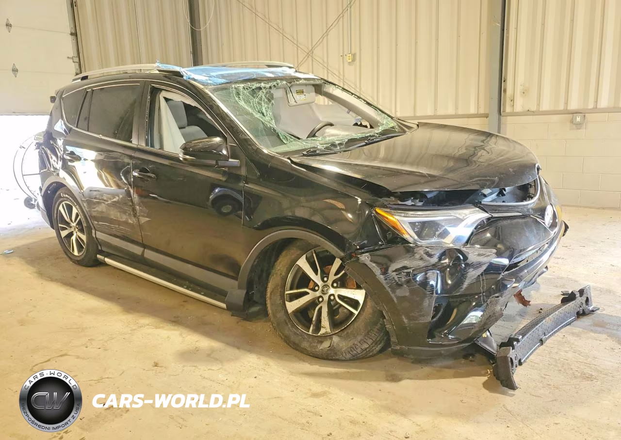 2017 Toyota Rav4 Xle VIN:2T3RFREV9HW555549 - 4