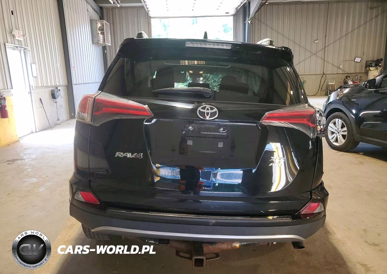 2017 Toyota Rav4 Xle VIN:2T3RFREV9HW555549 - 6
