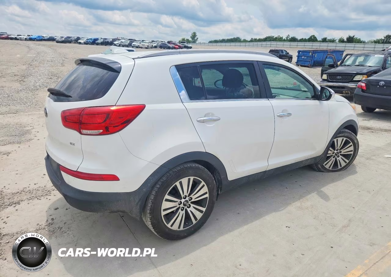 2015 Kia Sportage VIN:KNDPC3AC8F7790695 - 3