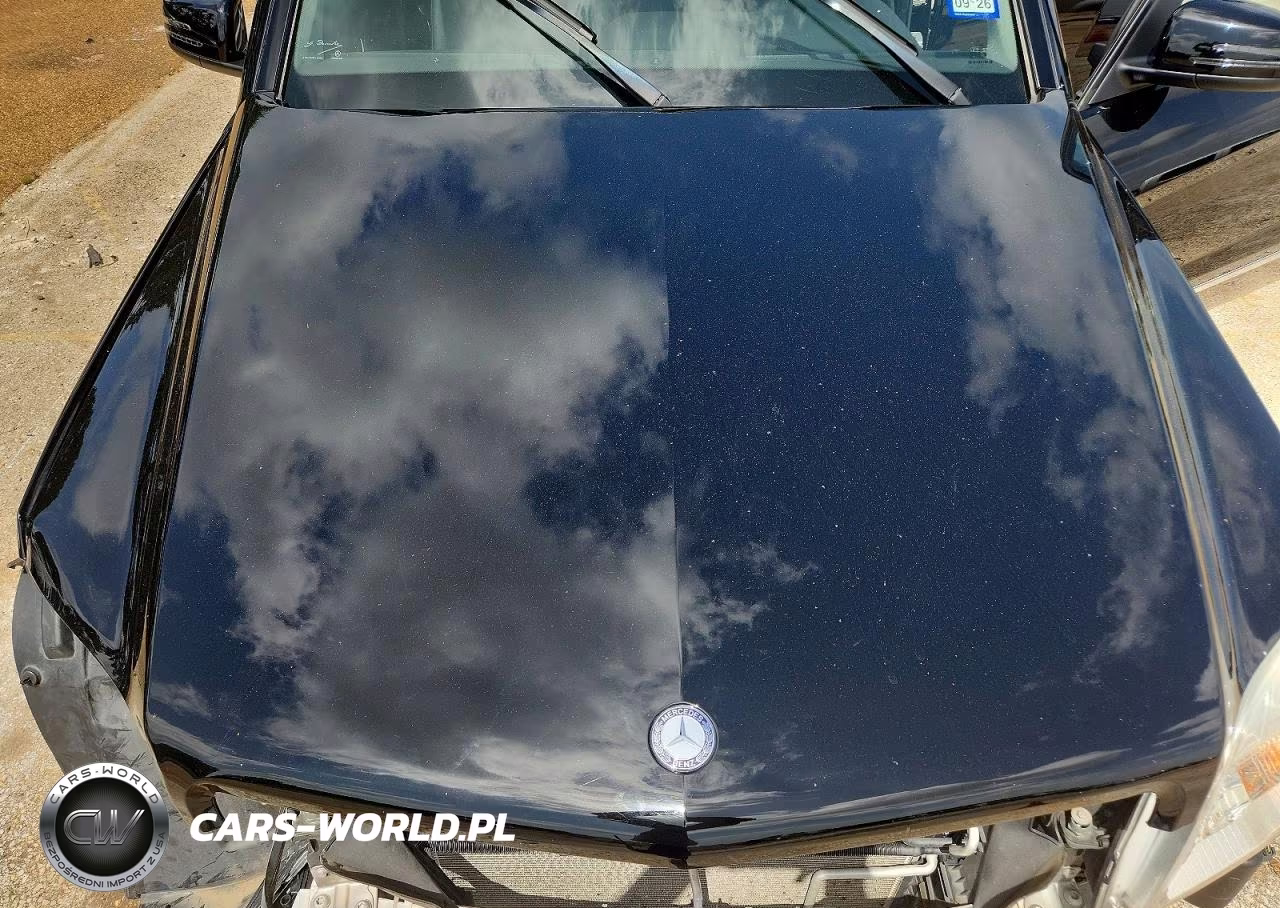 2010 Mercedes-Benz Glk 350 4Matic VIN:WDCGG8HB2AF402805 - 11