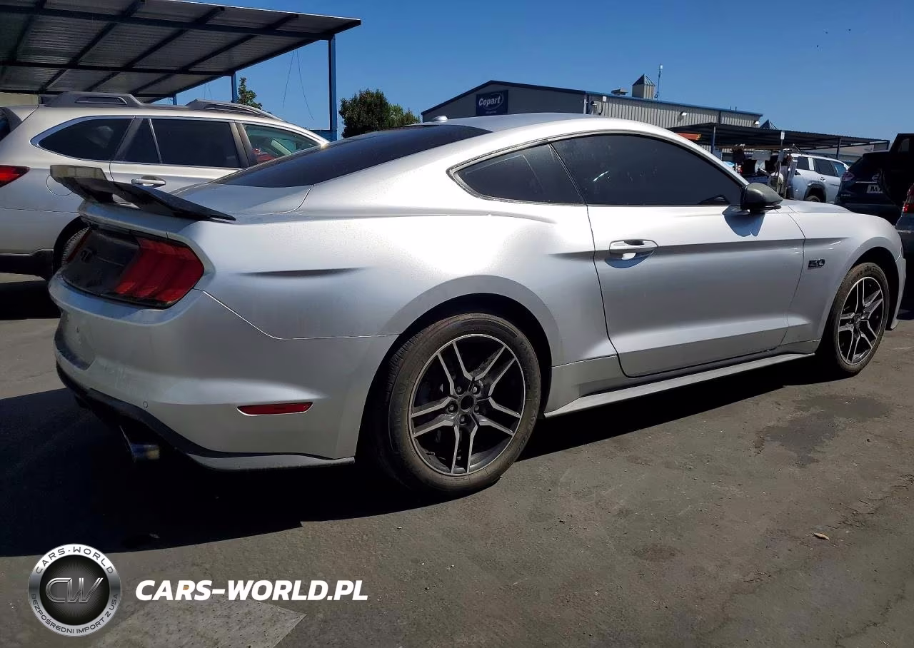 2019 Ford Mustang Gt VIN:1FA6P8CF2K5150739 - 3