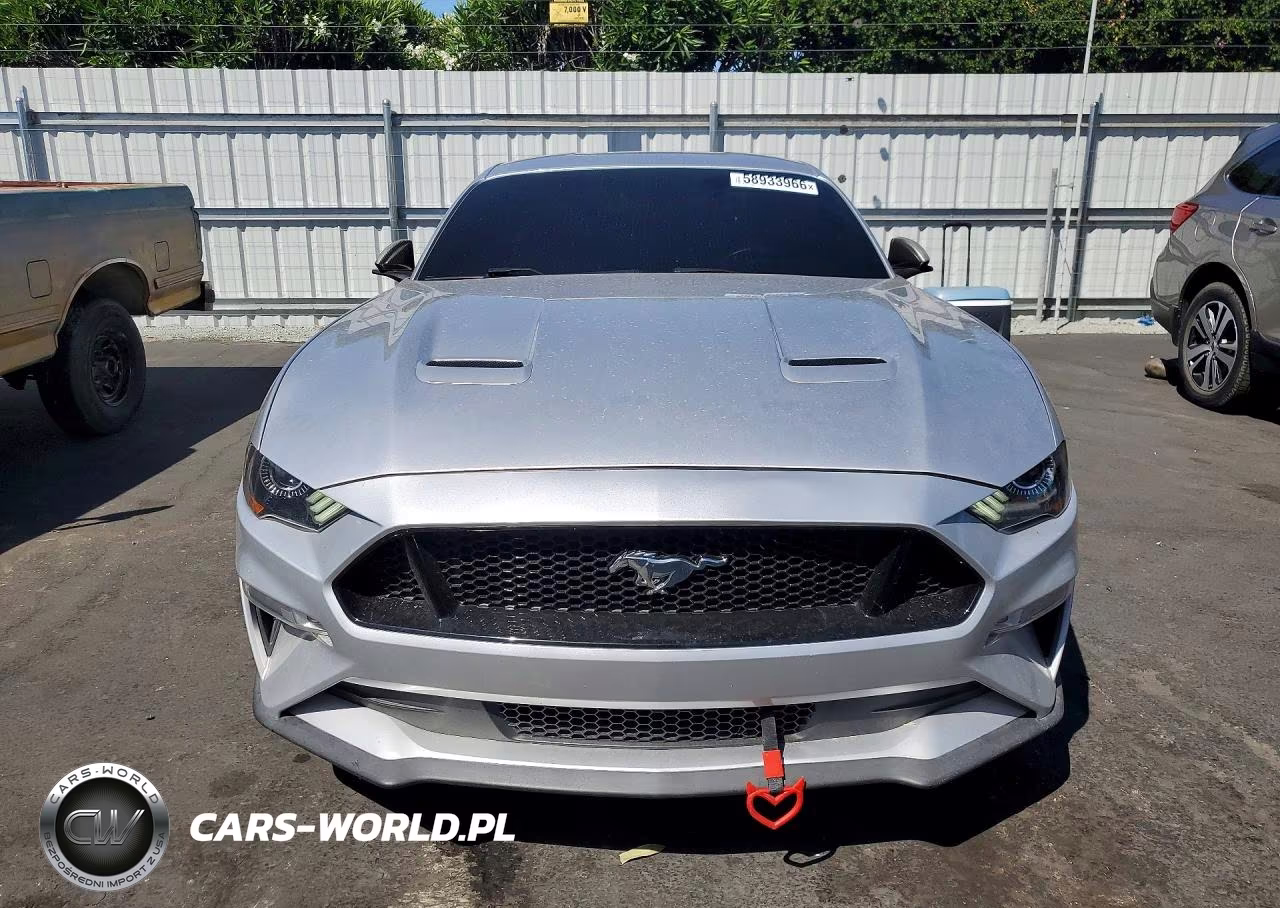 2019 Ford Mustang Gt VIN:1FA6P8CF2K5150739 - 5
