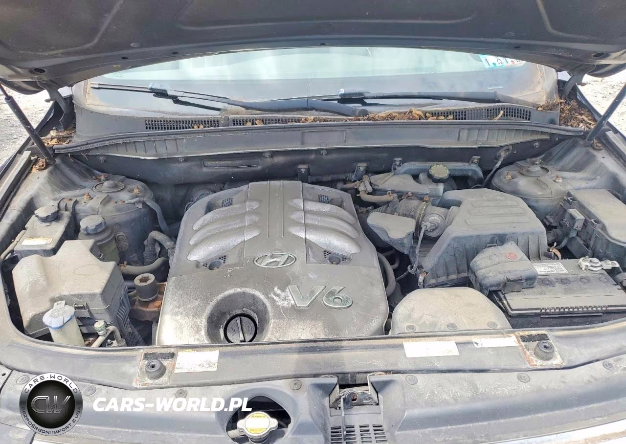 2007 Hyundai Veracruz Gls VIN:KM8NU73C87U012825 - 12