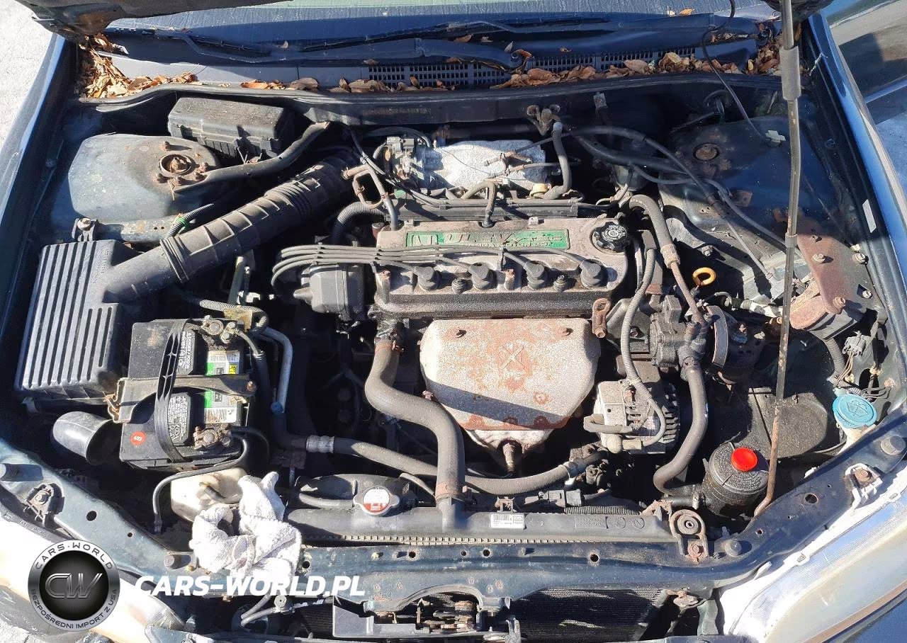 2000 Honda Accord Lx VIN:1HGCG6652YA145952 - 11