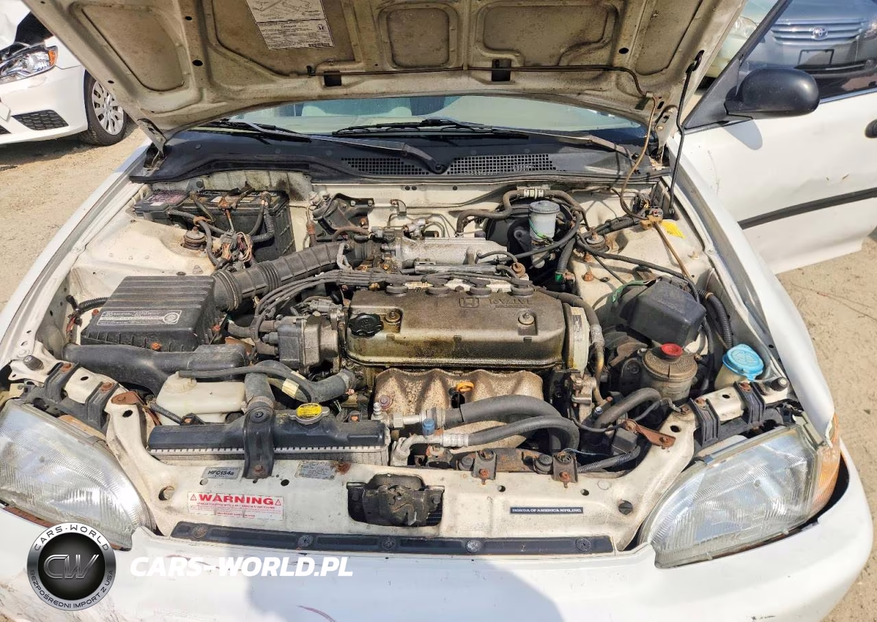 1995 Honda Civic Lx VIN:1HGEG8658SL021183 - 11