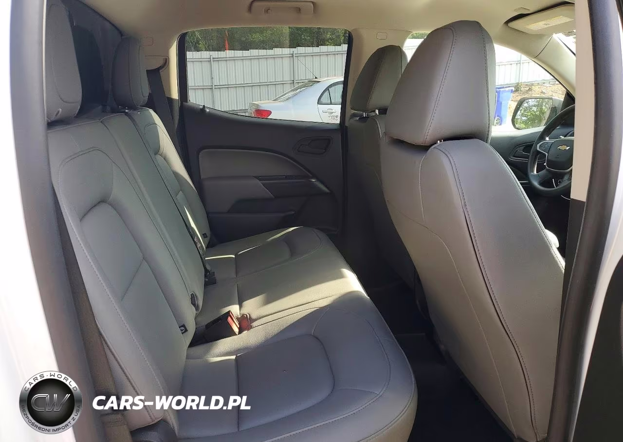 2019 Chevrolet Colorado VIN:1GCGSBEN9K1173019 - 10