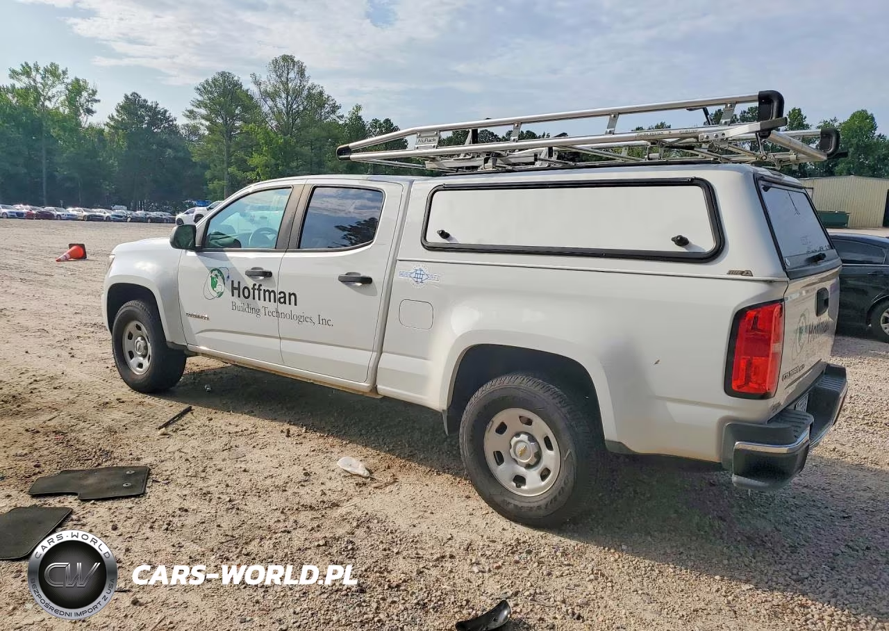 2019 Chevrolet Colorado VIN:1GCGSBEN9K1173019 - 2