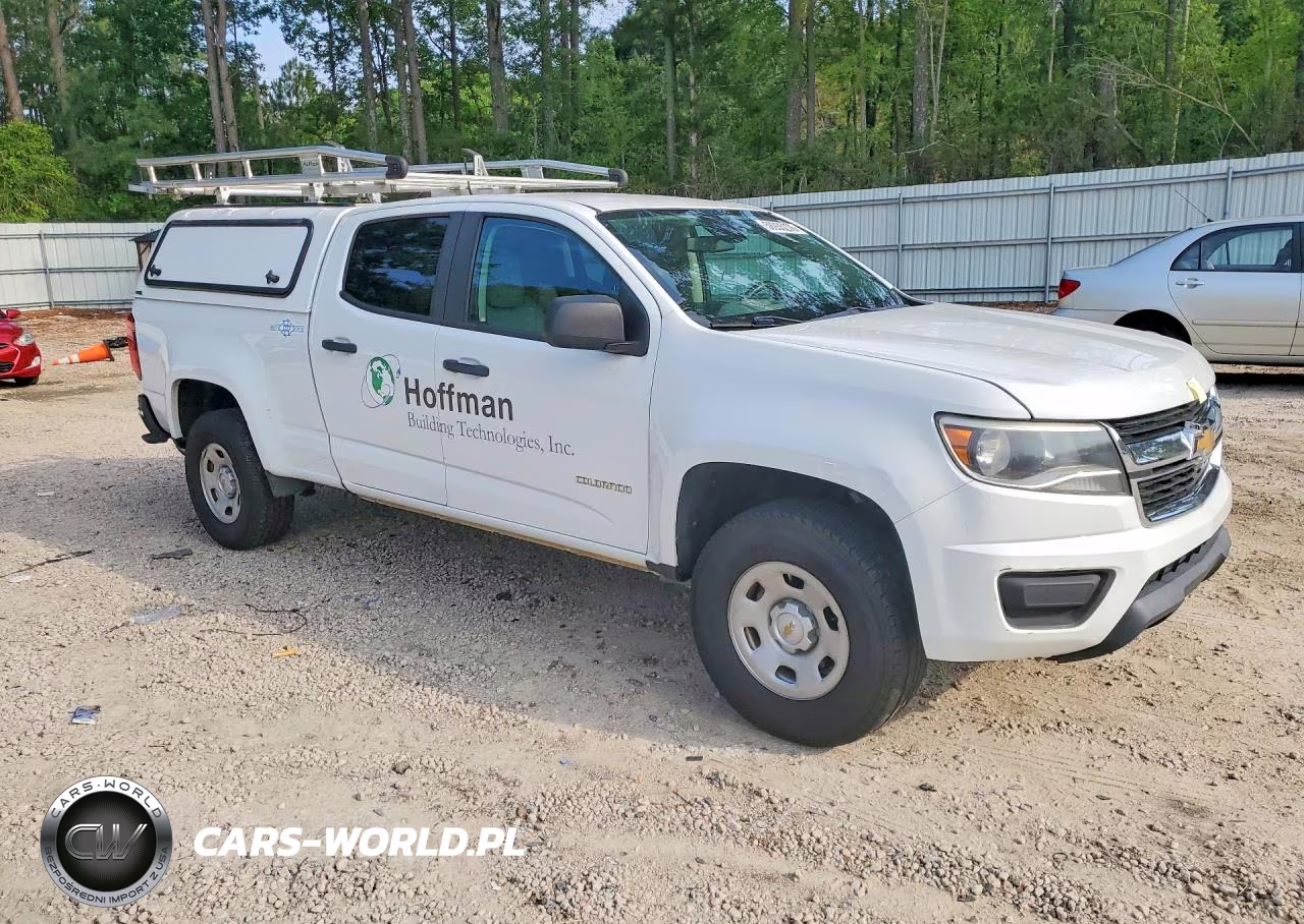 2019 Chevrolet Colorado VIN:1GCGSBEN9K1173019 - 4