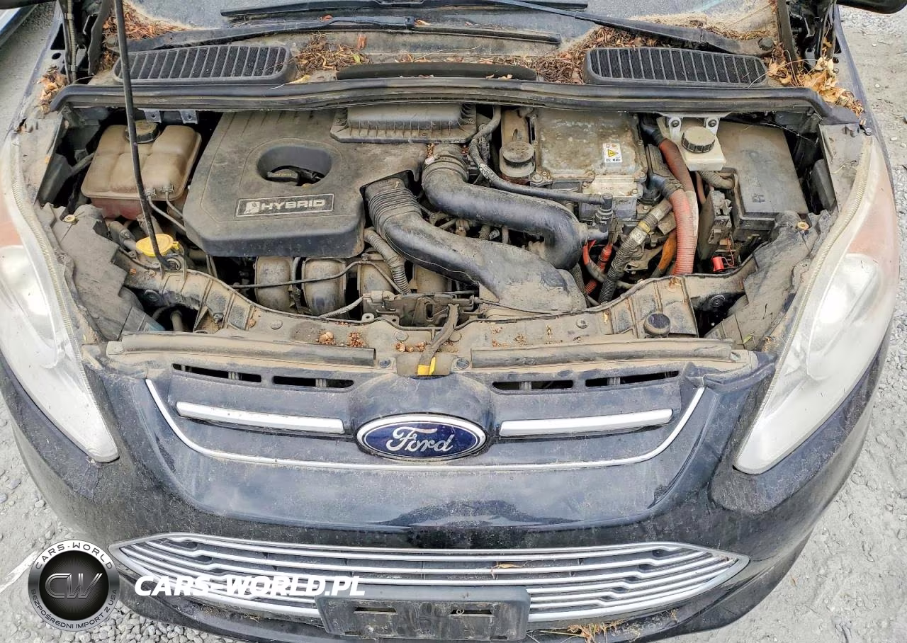 2013 Ford C-Max Sel VIN:1FADP5BU3DL525882 - 12