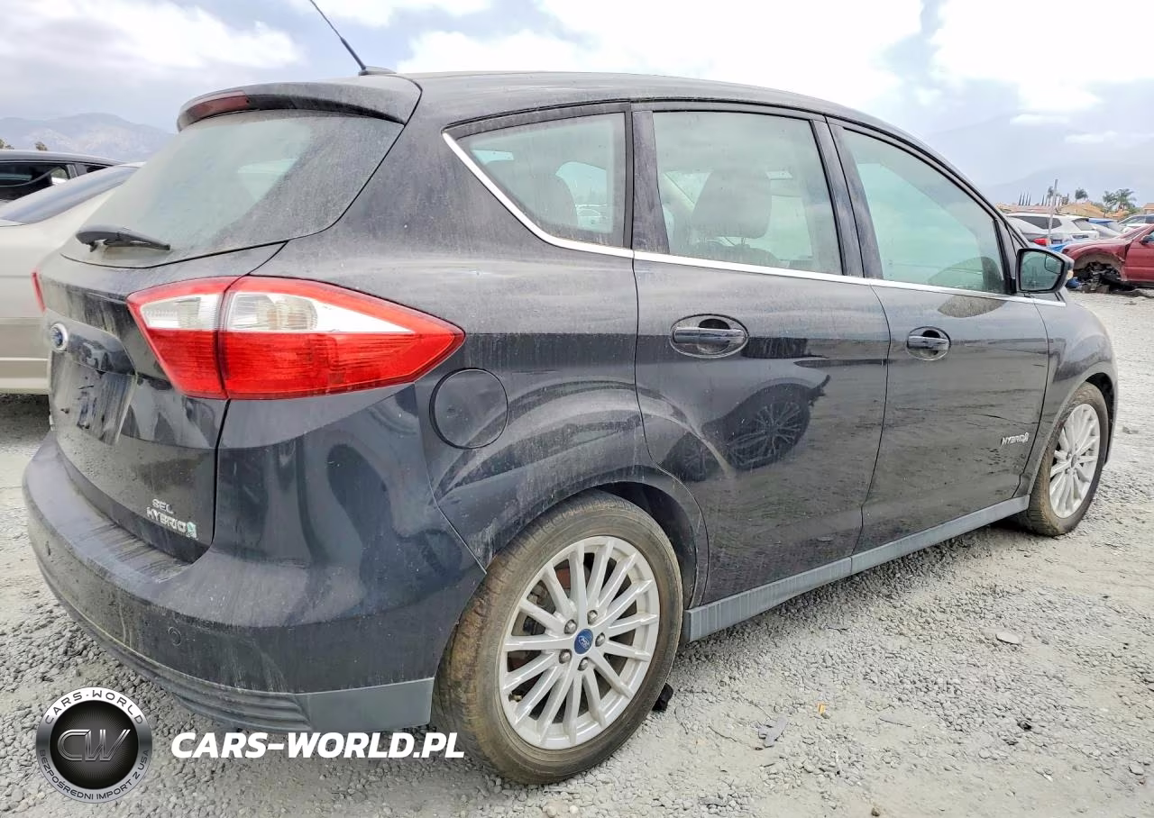 2013 Ford C-Max Sel VIN:1FADP5BU3DL525882 - 3