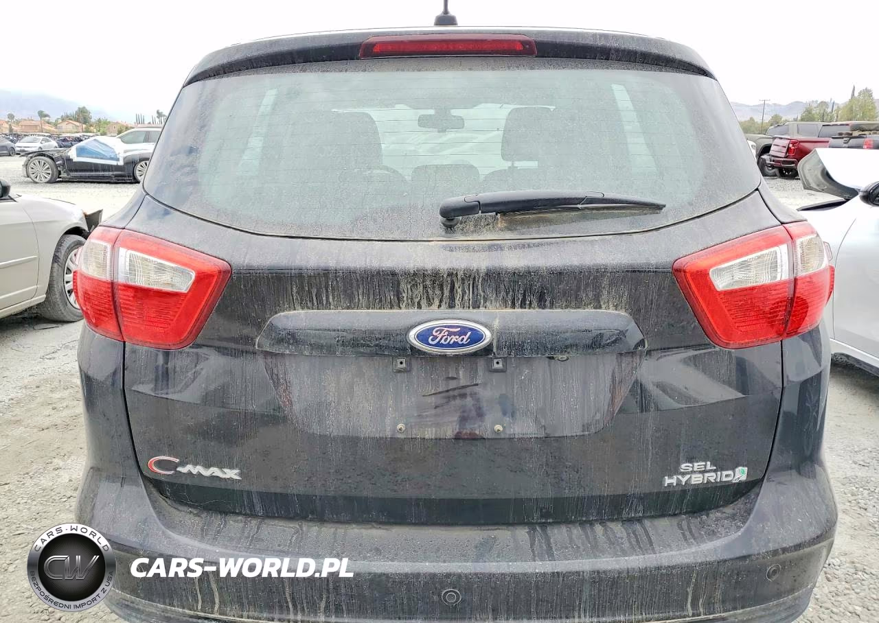 2013 Ford C-Max Sel VIN:1FADP5BU3DL525882 - 6