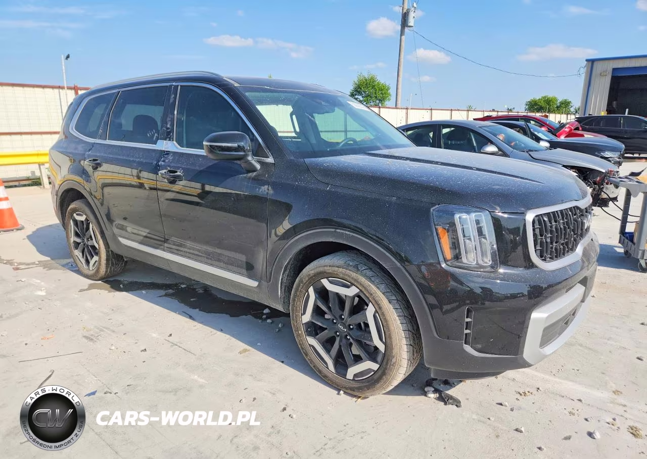 2025 Kia Telluride Ex VIN:5XYP34GC3SG596280 - 4