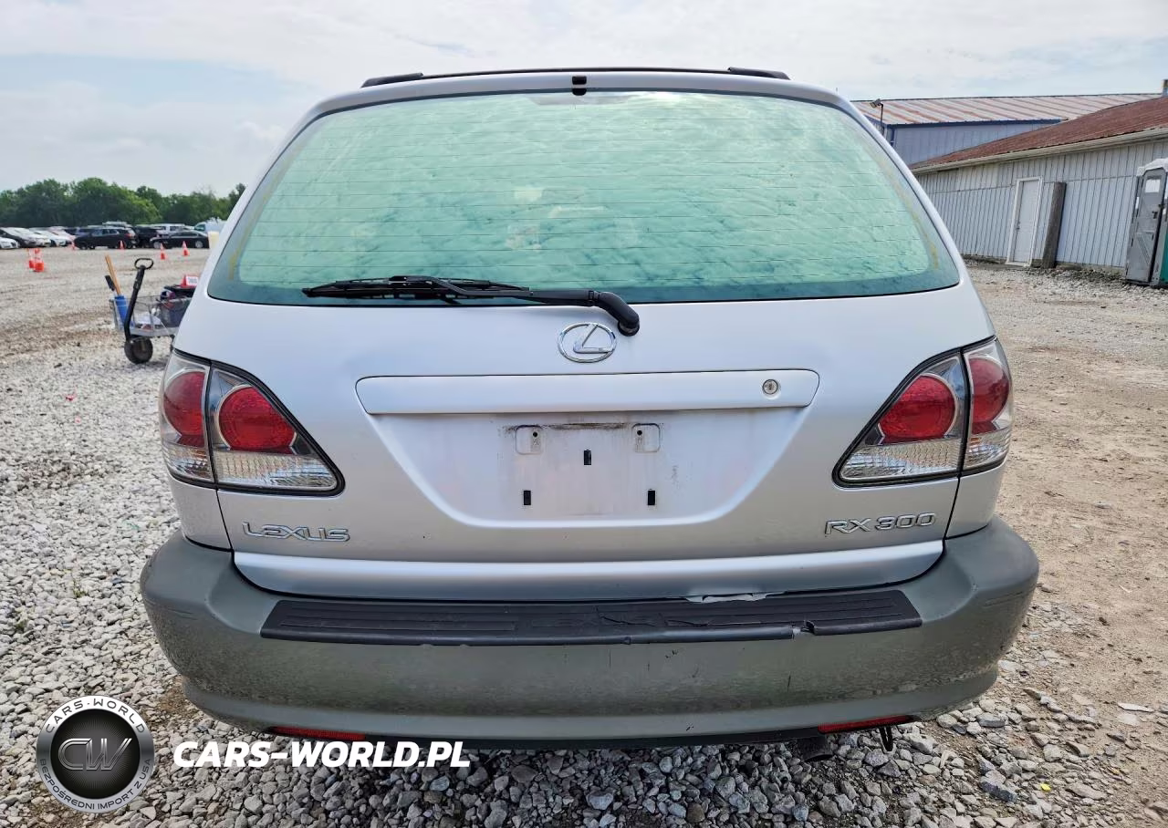 2002 Lexus Rx 300 VIN:JTJHF10U820290398 - 6