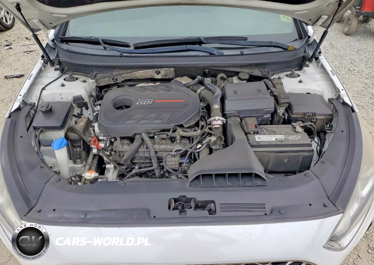 2018 Hyundai Sonata Sport 2.0T VIN:5NPE34ABXJH694401 - 11