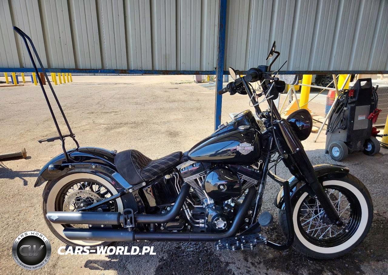 2017 Harley-Davidson Flss – zdjęcie 1 z 9